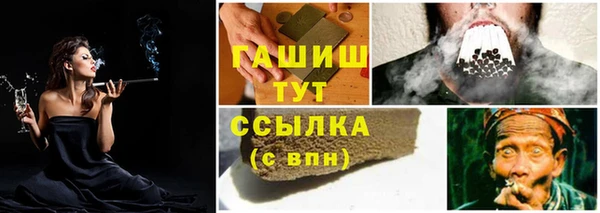 сатива Армянск