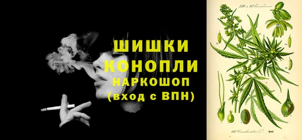 ешки Аркадак