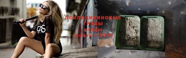 сатива Армянск