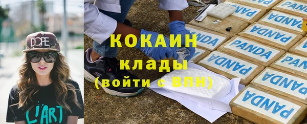 ешки Аркадак